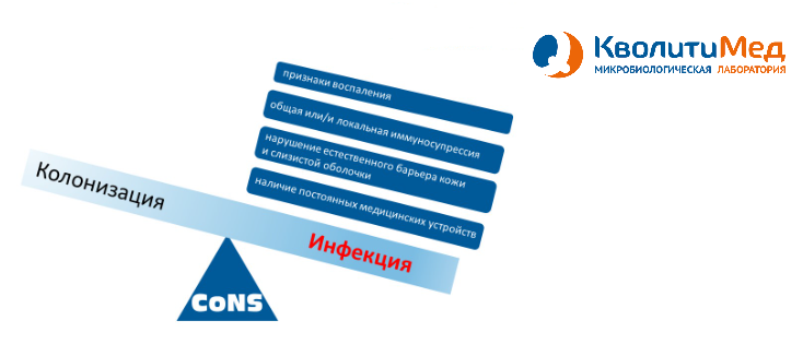 Вирулентны ли коагулазонегативные стафилококки?